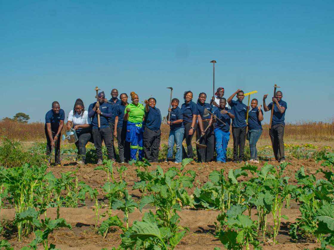 HLB ZIMBABWE